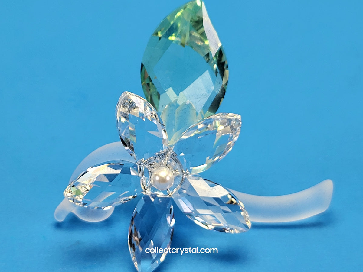 Jasmine Flower Blossom with green leaf # 918440