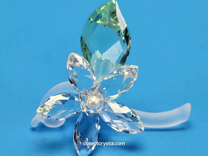 Jasmine Flower Blossom with green leaf # 918440