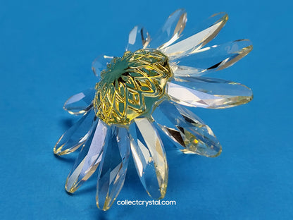 RENEWAL GIFT – MARGUERITE YELLOW 229778