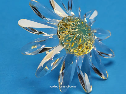 RENEWAL GIFT – MARGUERITE YELLOW 229778