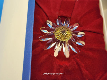 RENEWAL GIFT – MARGUERITE YELLOW with mini's 229778