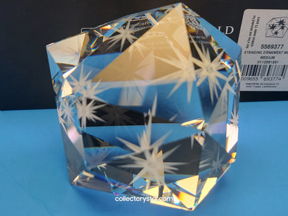 ETERNAL STAR STANDING ORNAMENT MEDIUM CLEAR 5569377