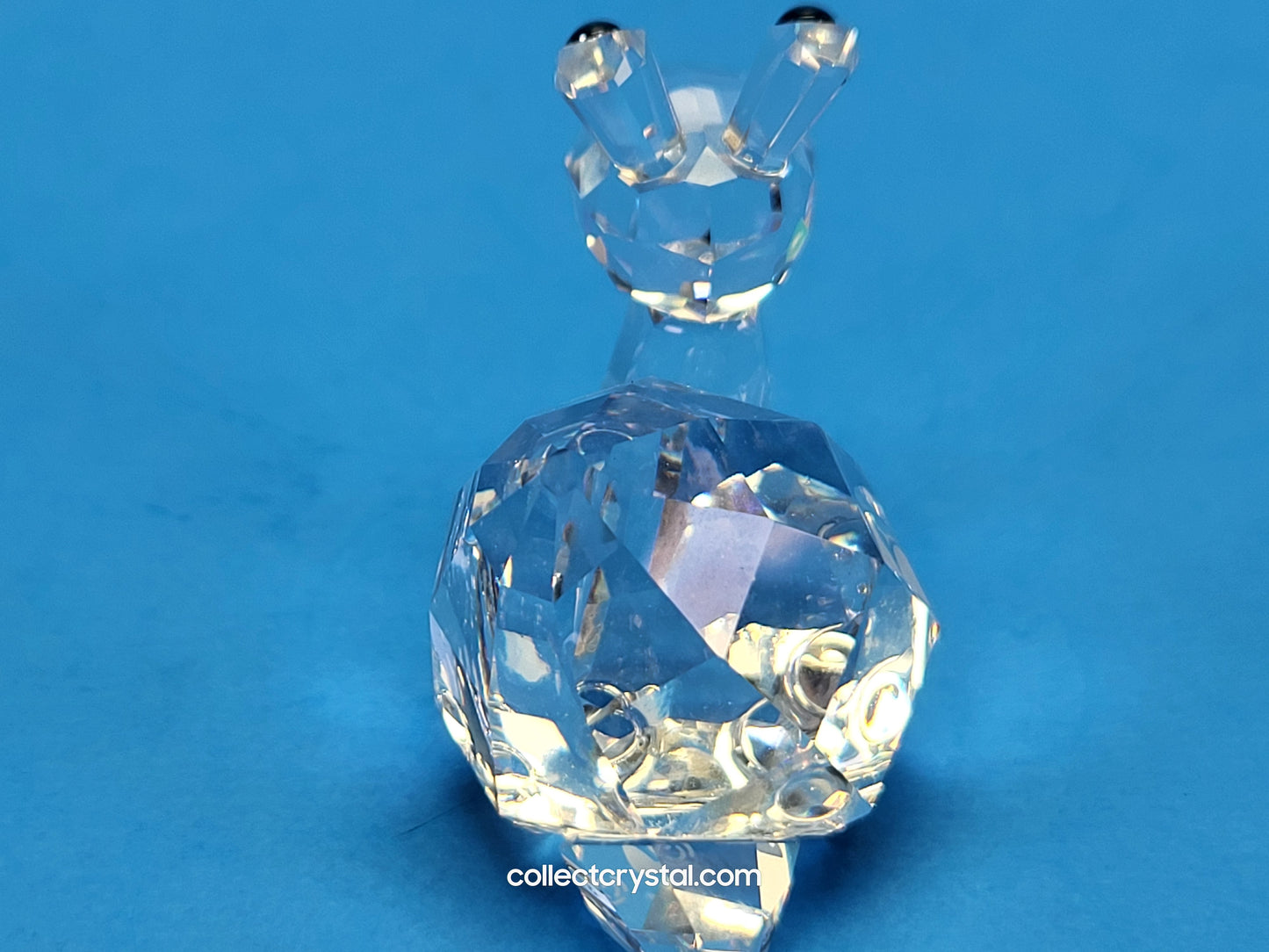 LOVLOTS PIONEERS – SHINA SNAIL 839826