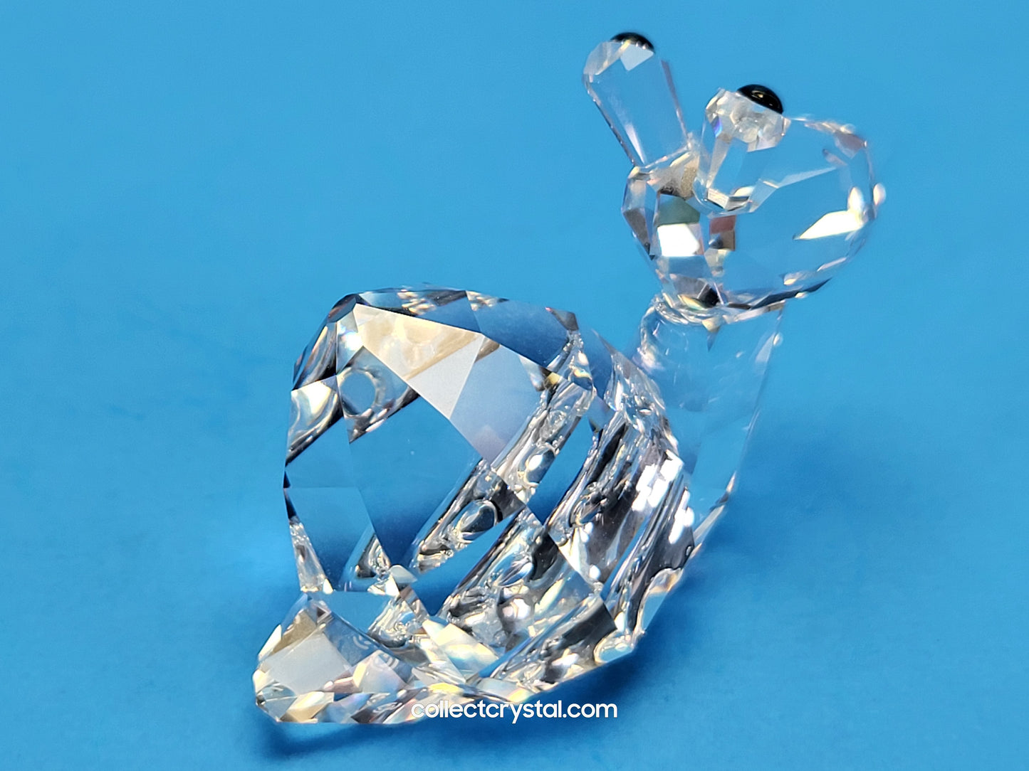 LOVLOTS PIONEERS – SHINA SNAIL 839826