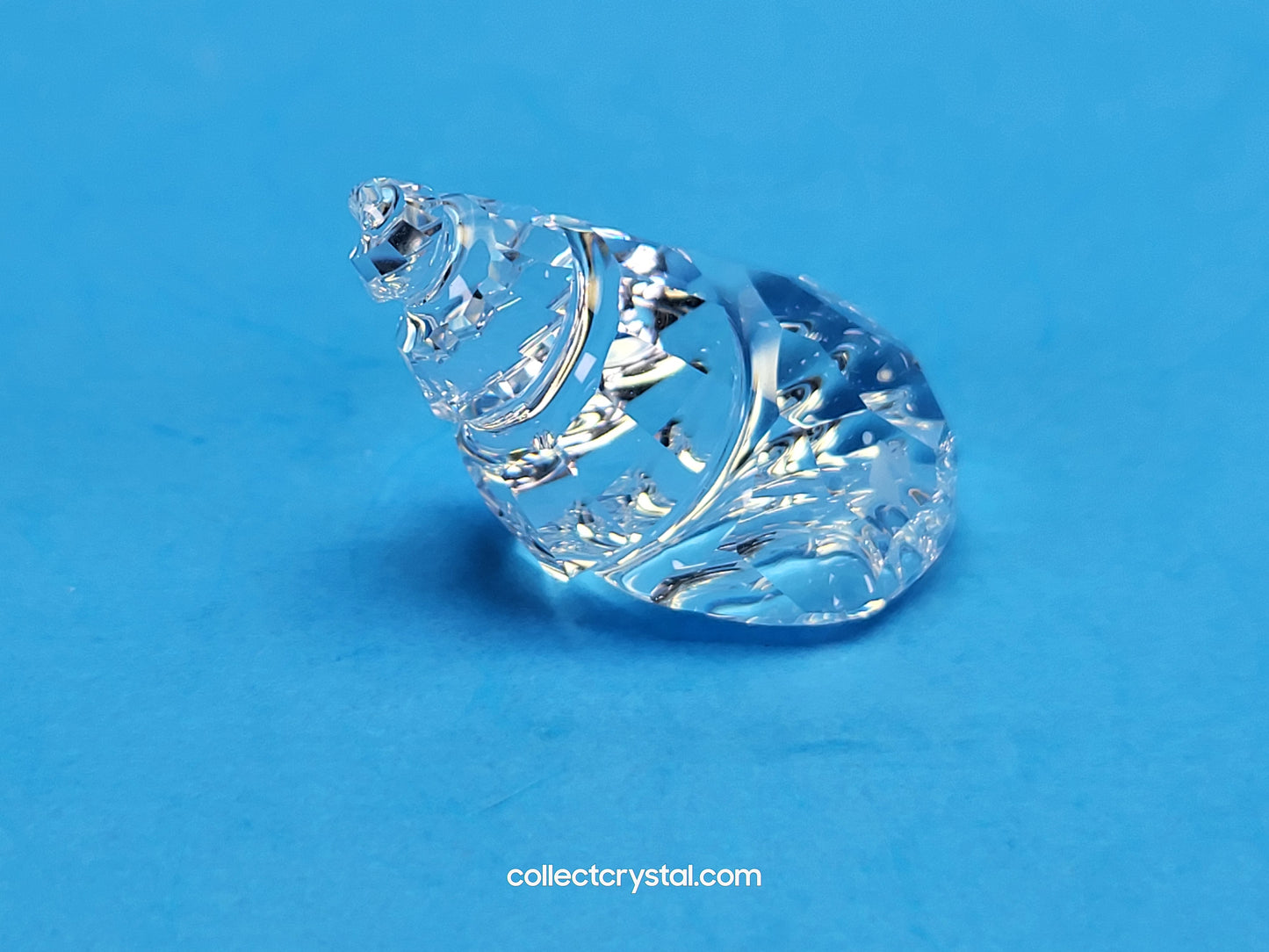 Mini Conch Shell, 7624 NR 000 002, #191691