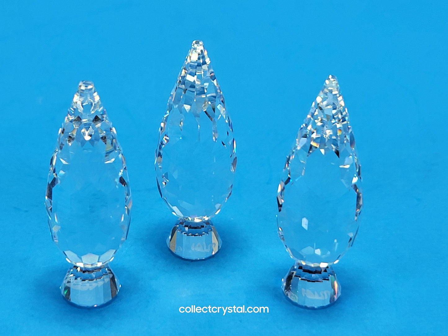 CRYSTAL CITY – POPLAR TREES 158979