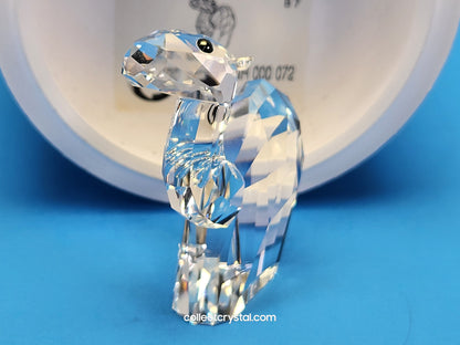 LOVLOTS PIONEERS – LAY Z CAMEL 887730