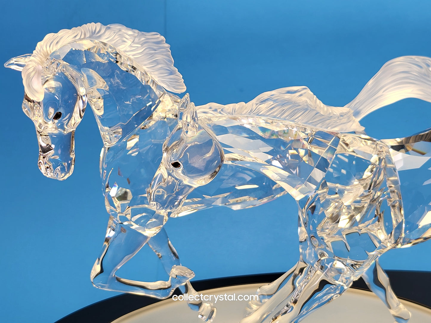 The Wild Horses, # 236720 SCS 2001 Limited Edition 2653 of 10,000