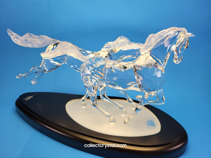 The Wild Horses, # 236720 SCS 2001 Limited Edition 2653 of 10,000