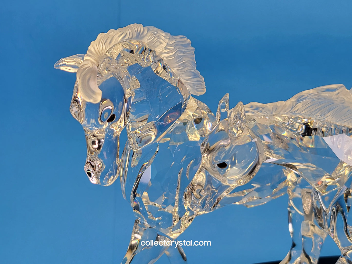 The Wild Horses, # 236720 SCS 2001 Limited Edition 2653 of 10,000