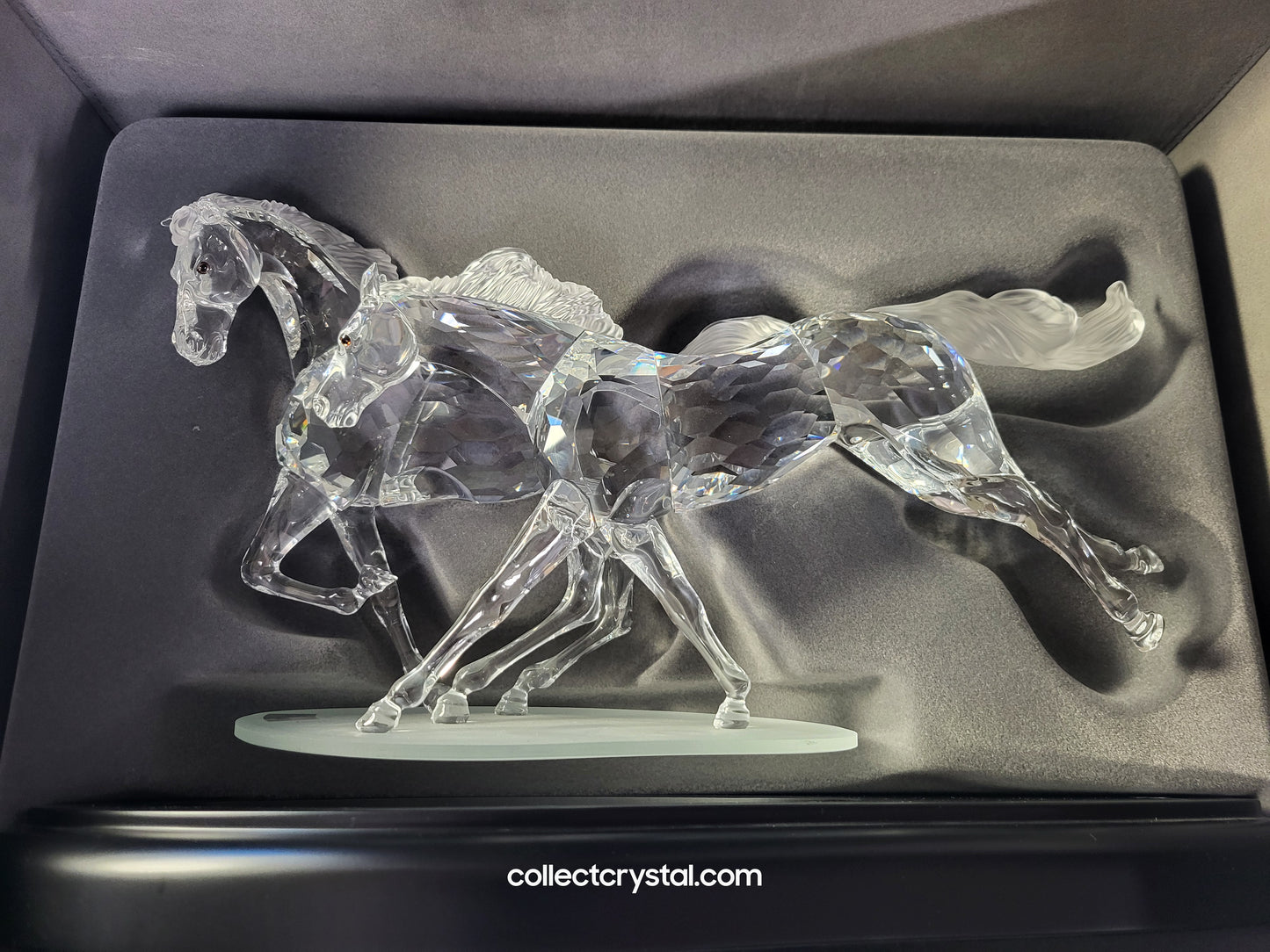 The Wild Horses, # 236720 SCS 2001 Limited Edition 2653 of 10,000