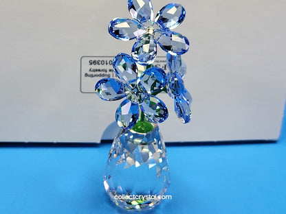 FLOWER DREAMS – FORGET ME NOTS 5254325 / 5723646