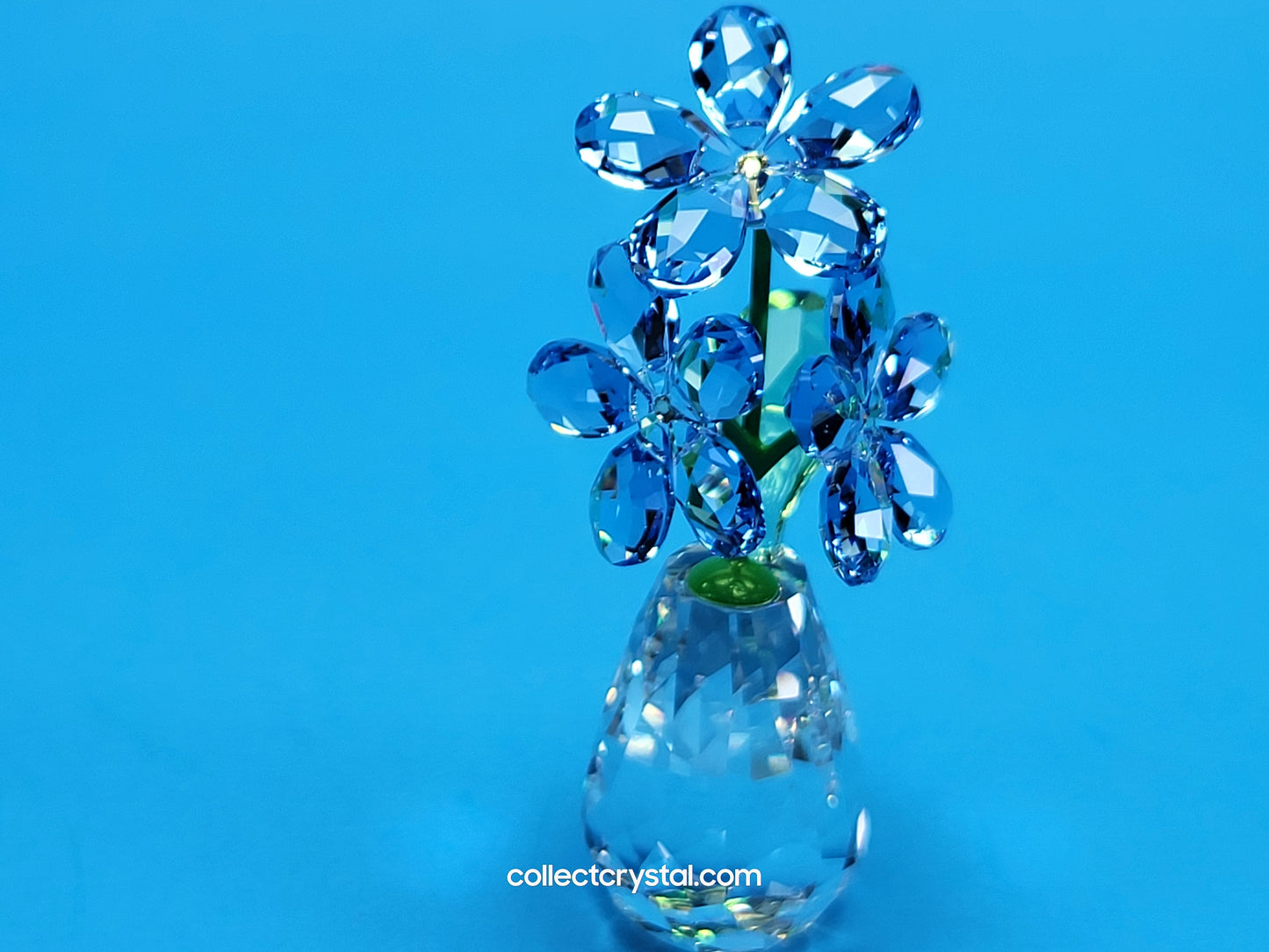 FLOWER DREAMS – FORGET ME NOTS 5254325 / 5723646