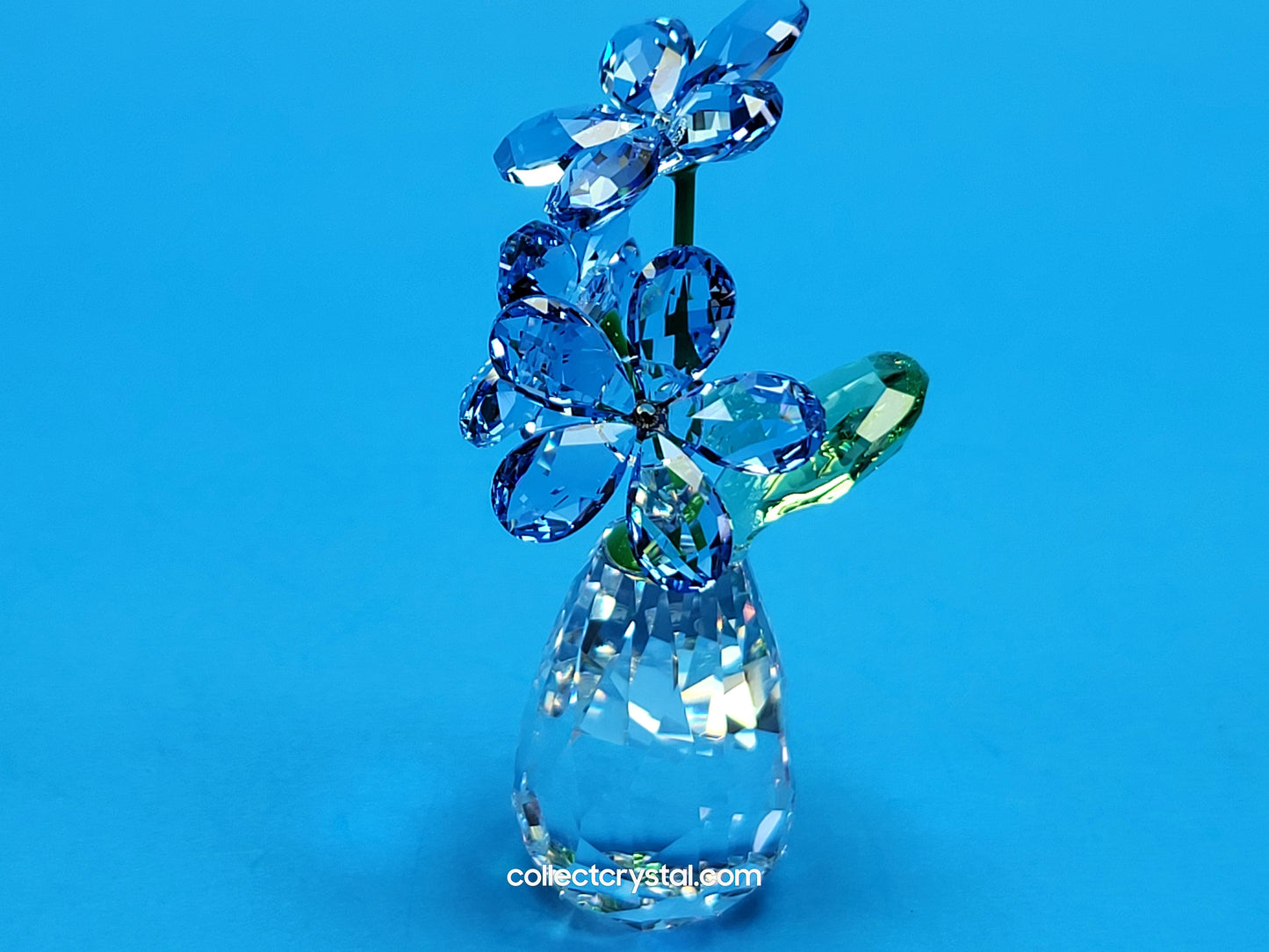 FLOWER DREAMS – FORGET ME NOTS 5254325 / 5723646