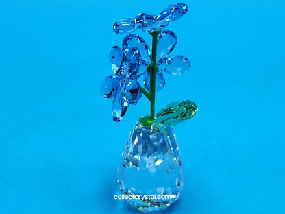 FLOWER DREAMS – FORGET ME NOTS 5254325 / 5723646