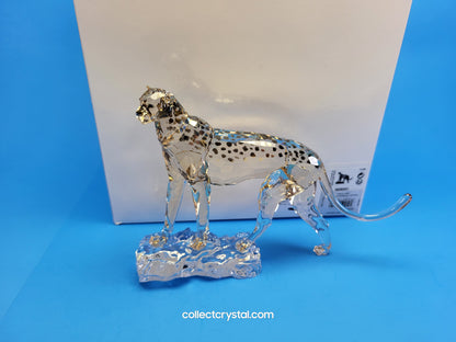 ELEGANCE OF AFRICA CHEETAH MEHIRA # 5636241 2023 ANNUAL EDITION