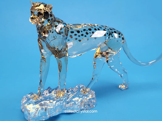 ELEGANCE OF AFRICA CHEETAH MEHIRA # 5636241 2023 ANNUAL EDITION
