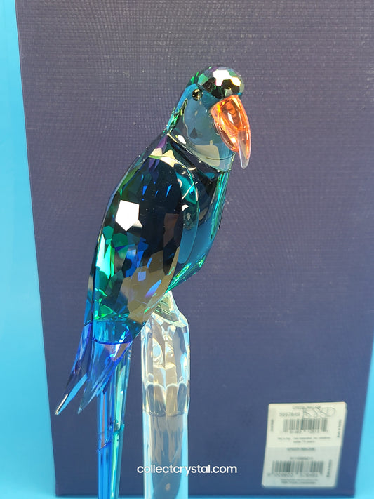 Bird JUNGLE BEATS – GREEN MACAW BANJO Bird # 5557849