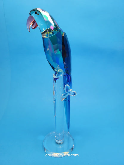 Bird JUNGLE BEATS – GREEN MACAW BANJO Bird # 5557849