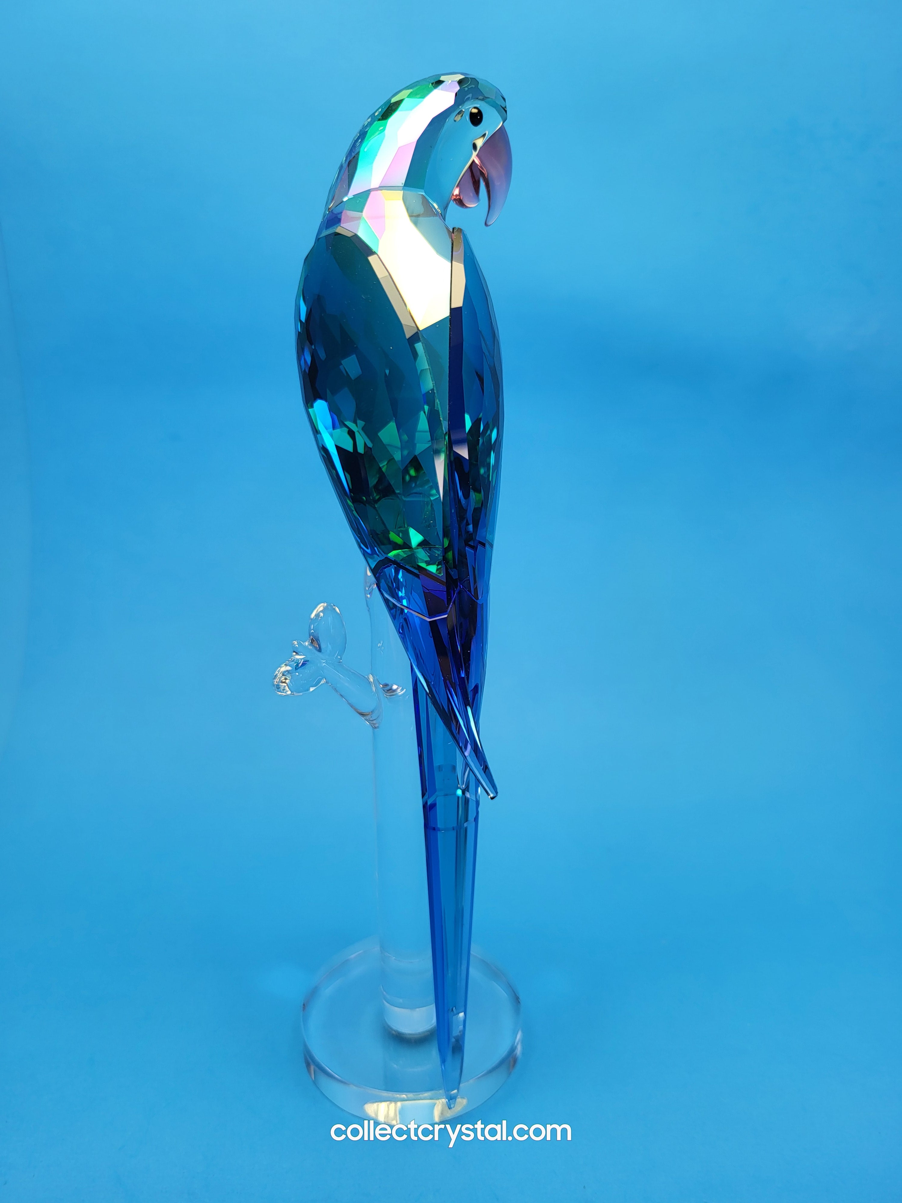 Bird JUNGLE BEATS – GREEN MACAW BANJO Bird # 5557849