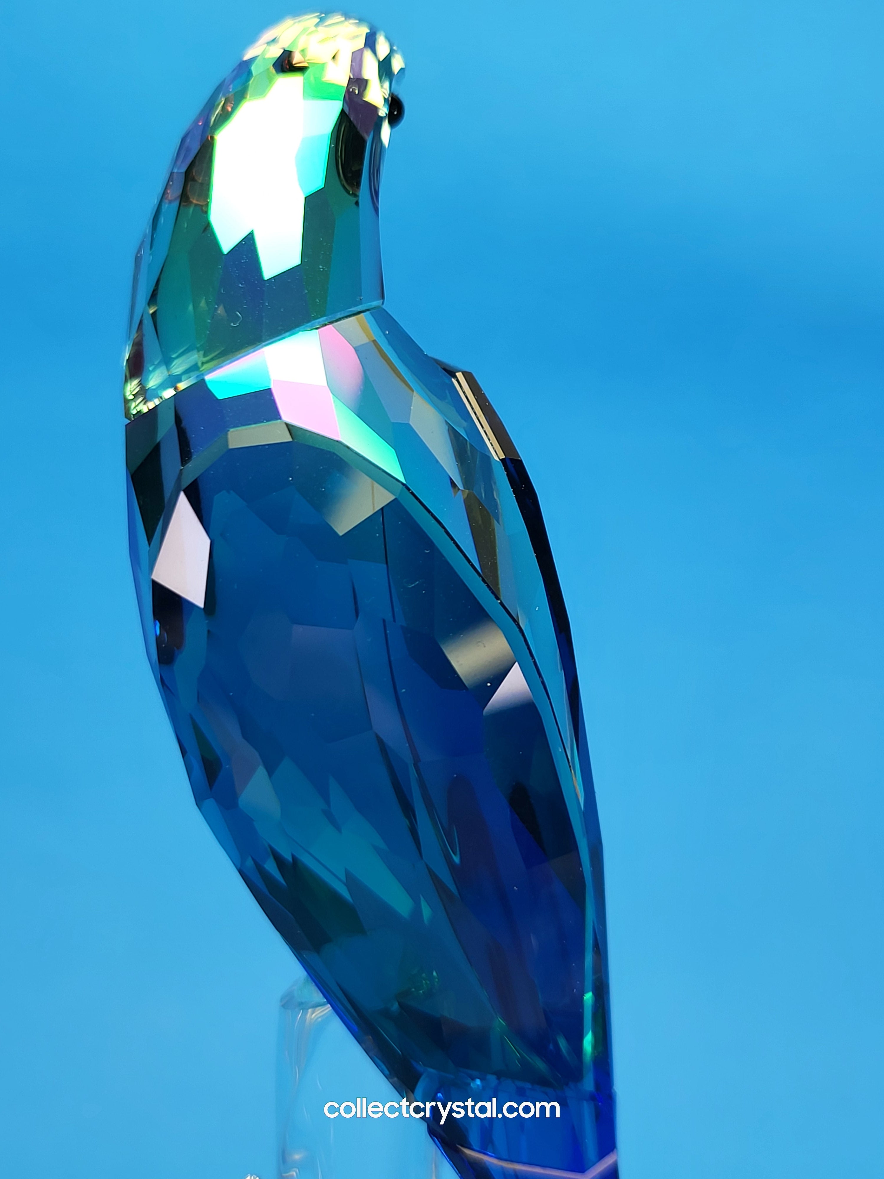 Bird JUNGLE BEATS – GREEN MACAW BANJO Bird # 5557849