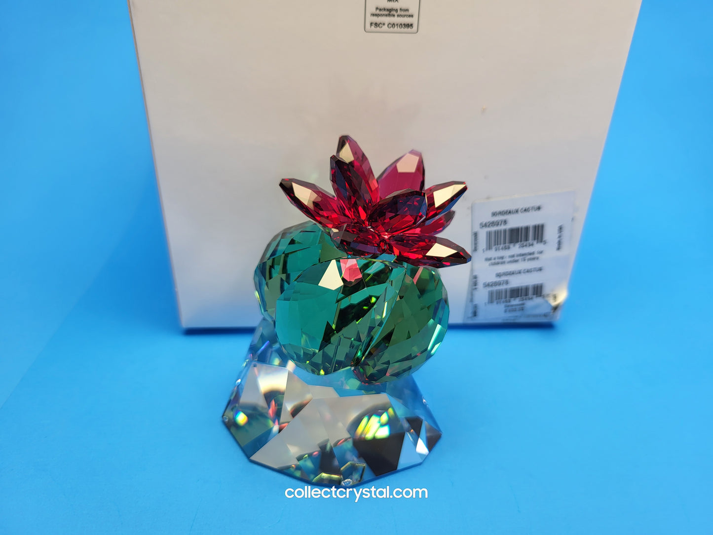 PARADISE FLOWERS – CACTUS BORDEAUX 5426978