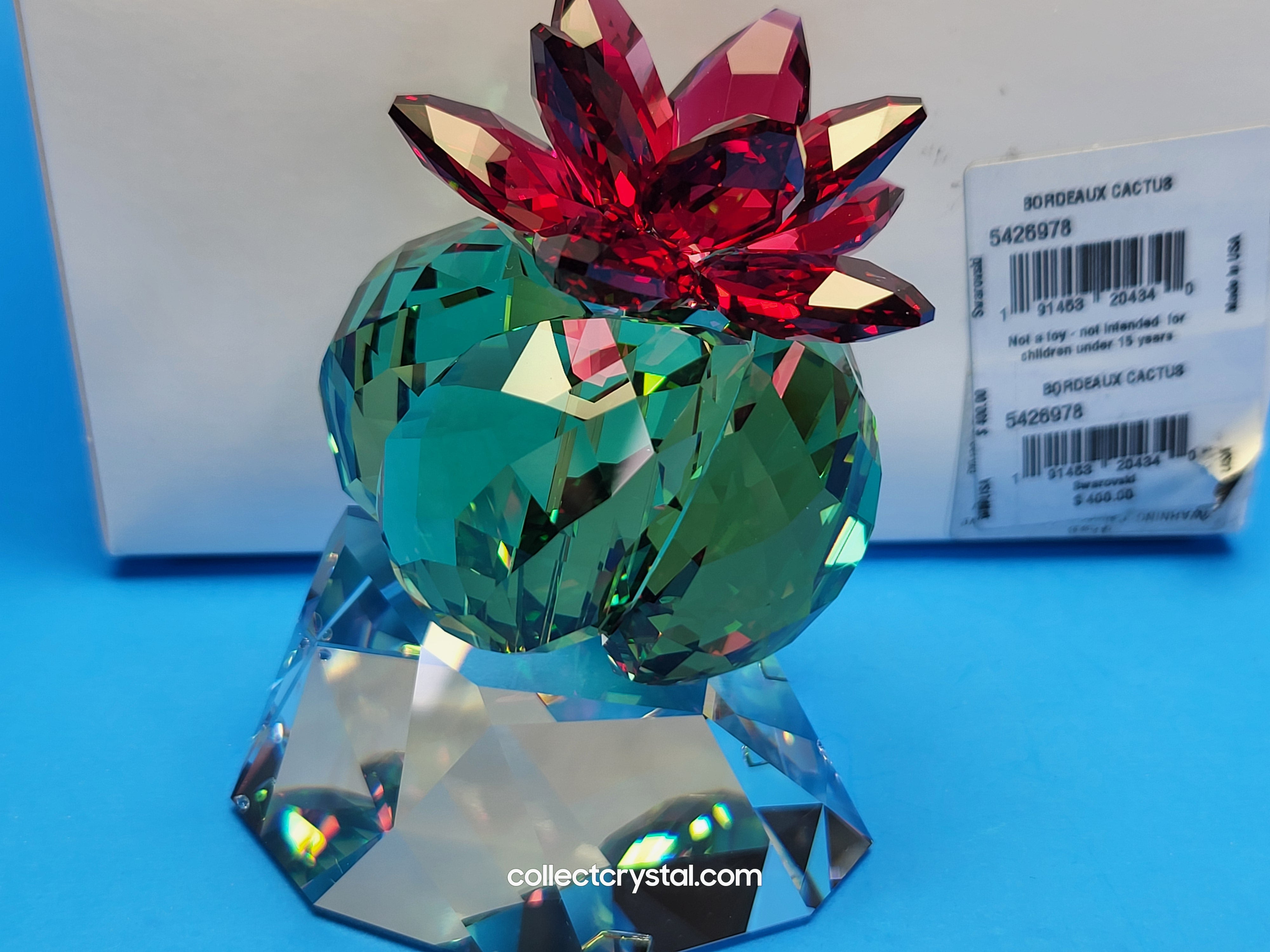 PARADISE FLOWERS – CACTUS BORDEAUX 5426978 – Collect Crystal