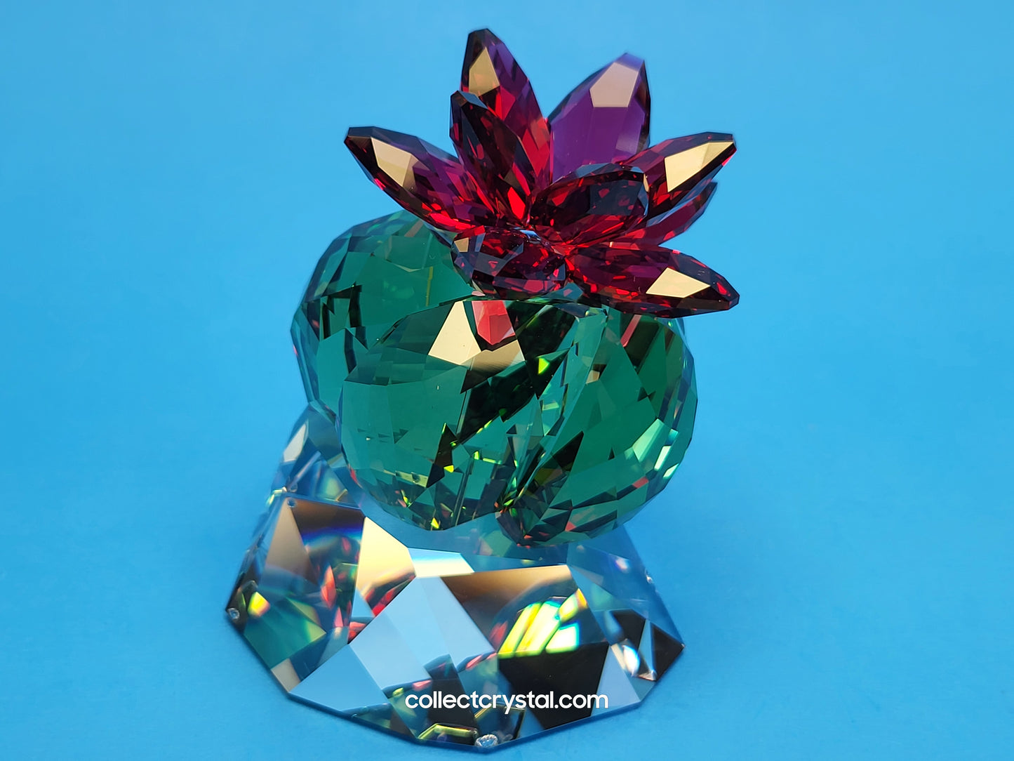 PARADISE FLOWERS – CACTUS BORDEAUX 5426978