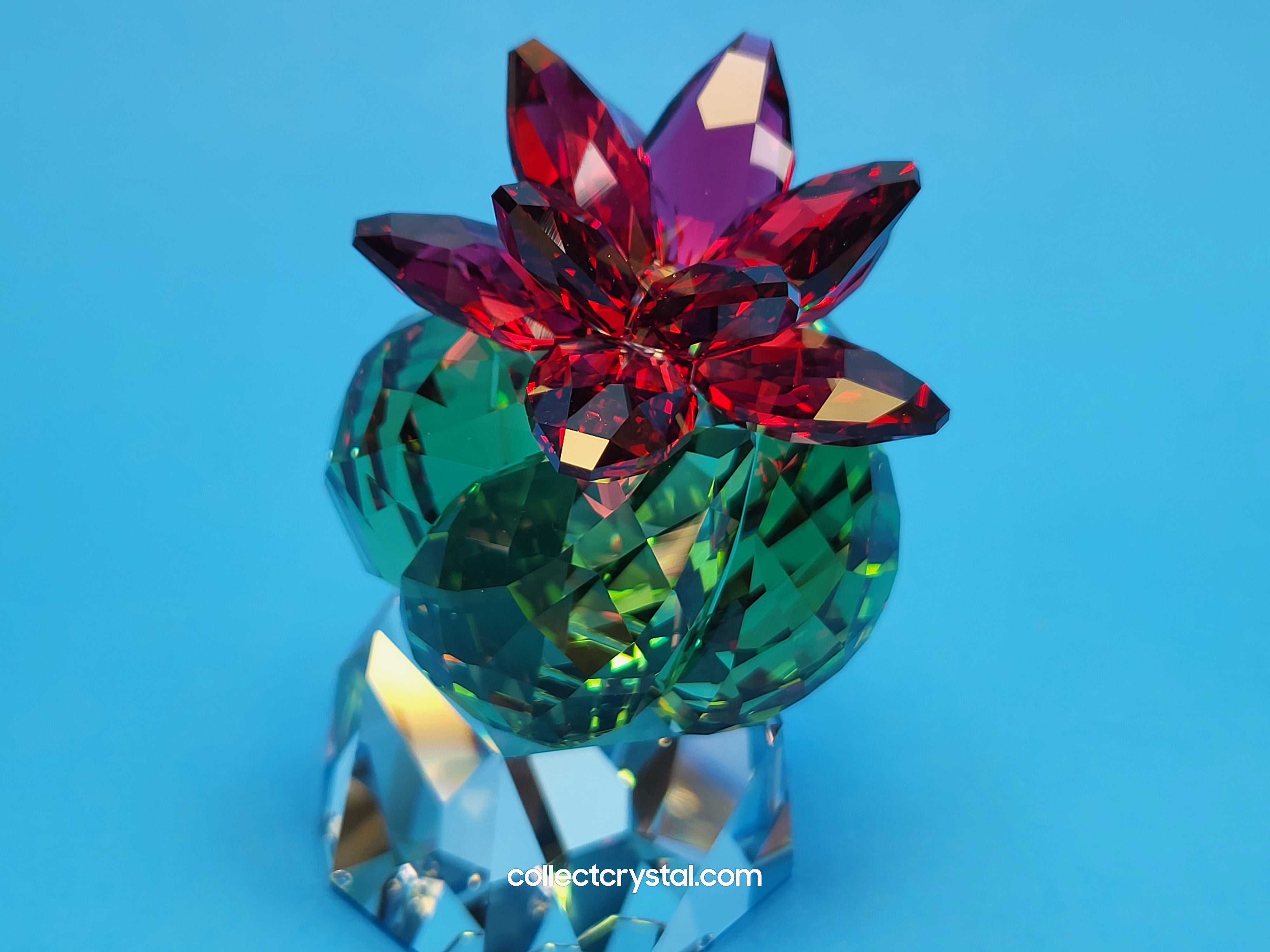 PARADISE FLOWERS – CACTUS BORDEAUX 5426978 – Collect Crystal