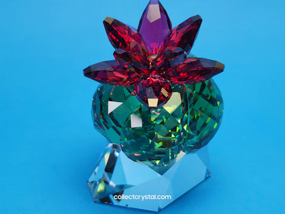 PARADISE FLOWERS – CACTUS BORDEAUX 5426978