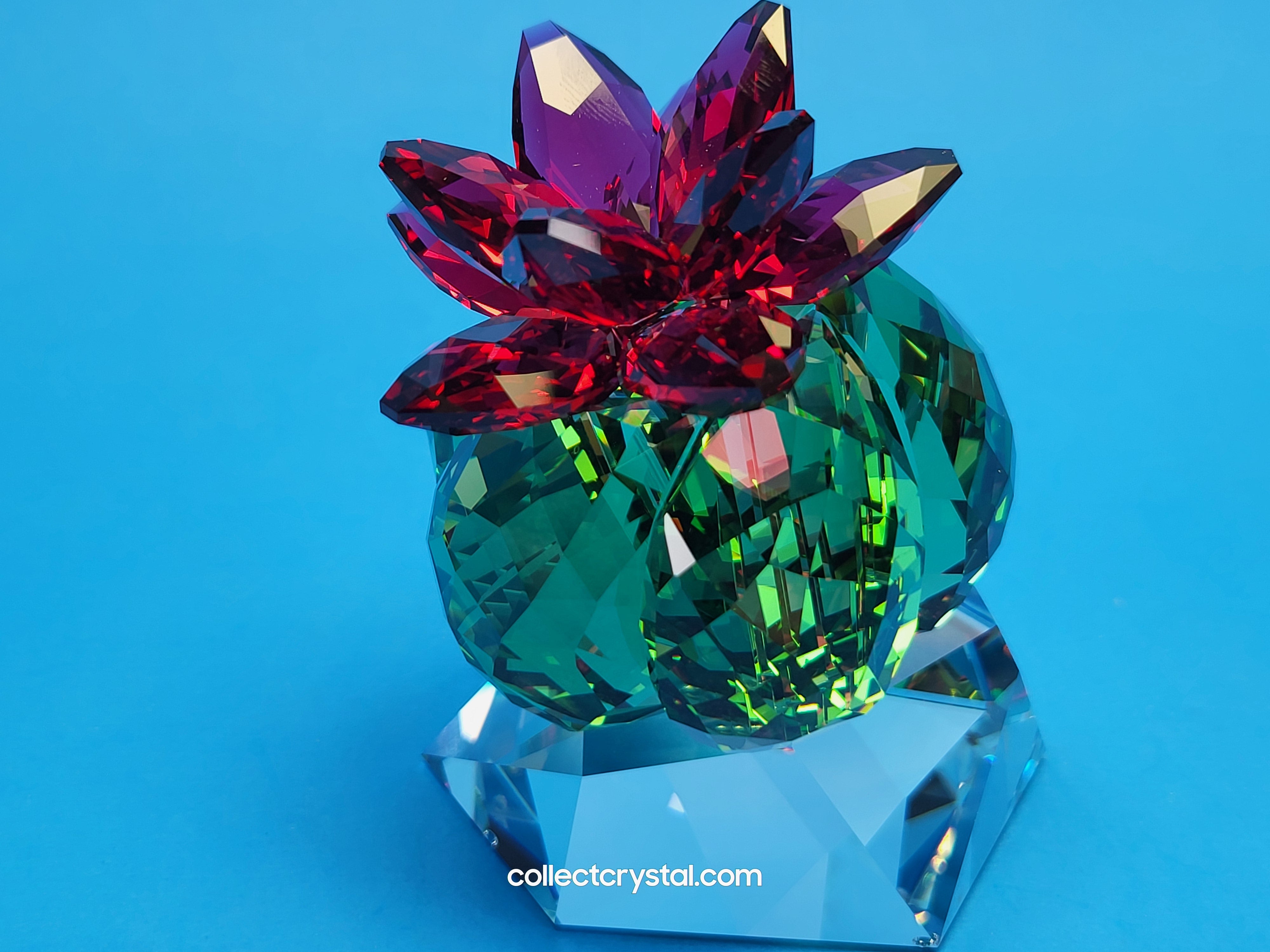 PARADISE FLOWERS – CACTUS BORDEAUX 5426978 – Collect Crystal