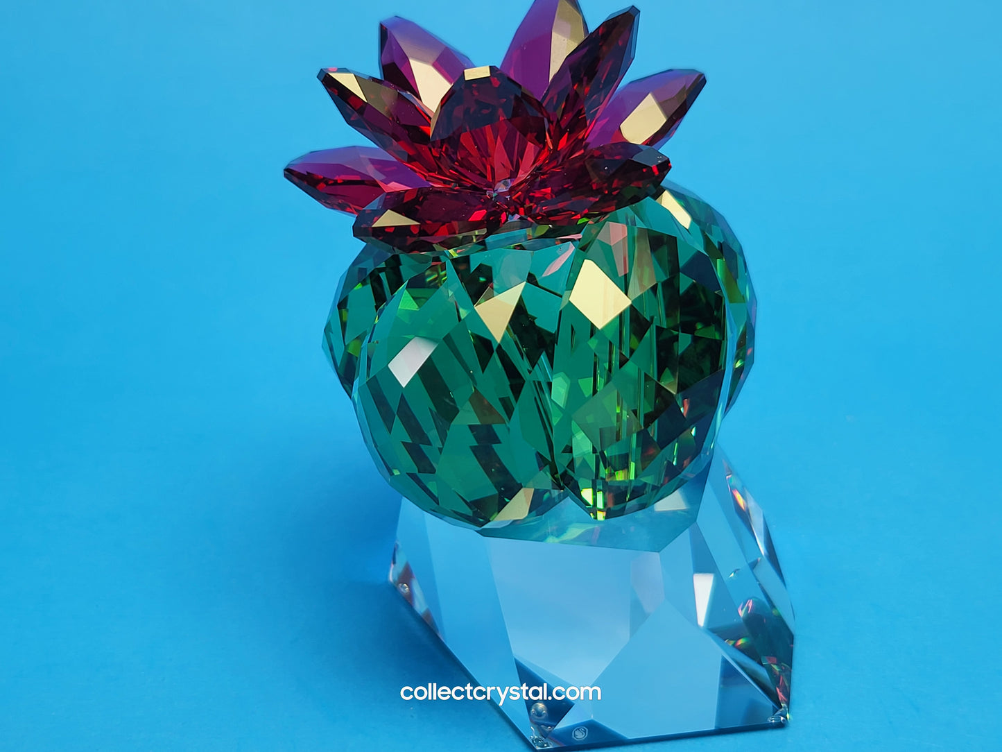 PARADISE FLOWERS – CACTUS BORDEAUX 5426978