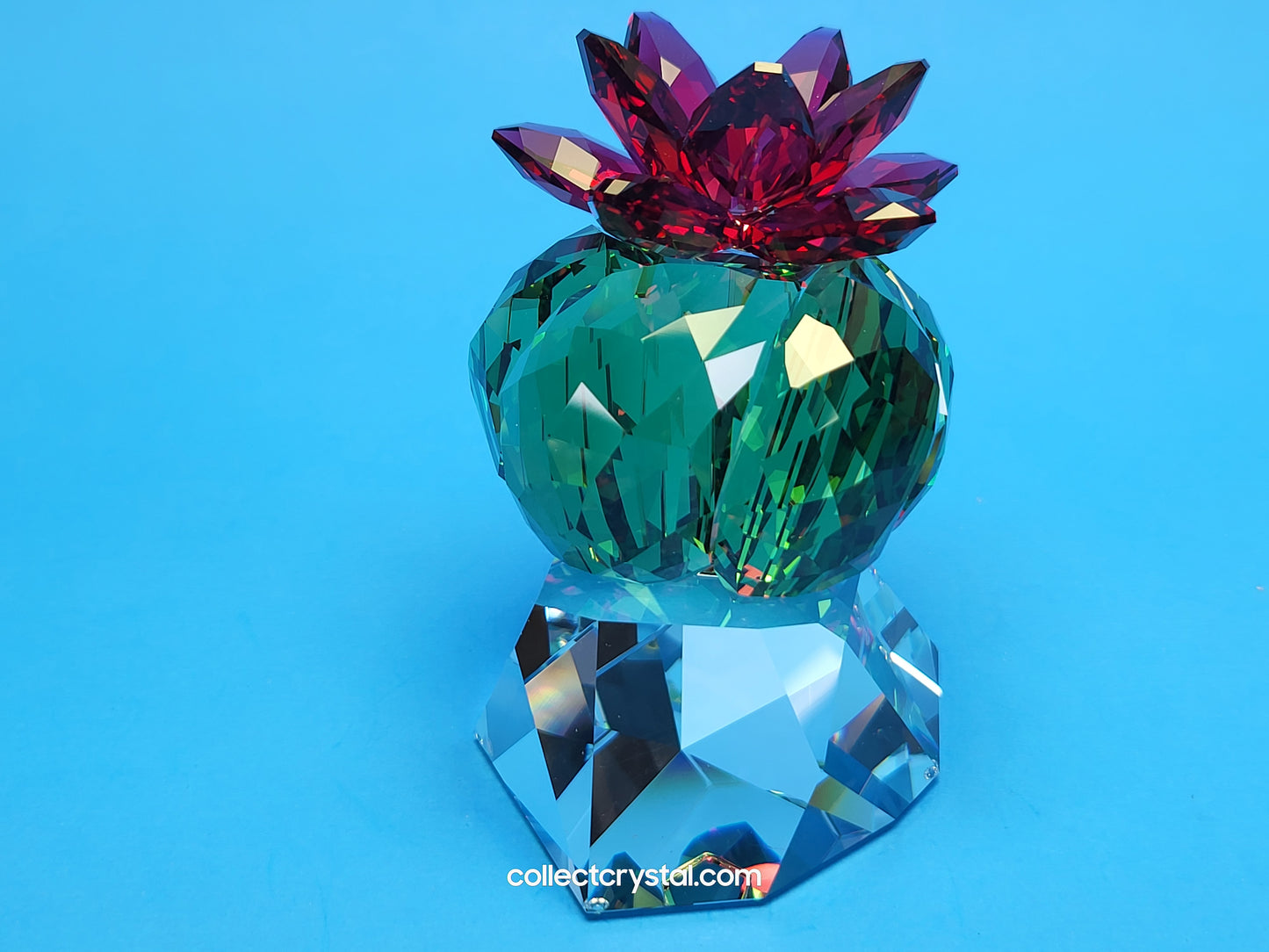 PARADISE FLOWERS – CACTUS BORDEAUX 5426978