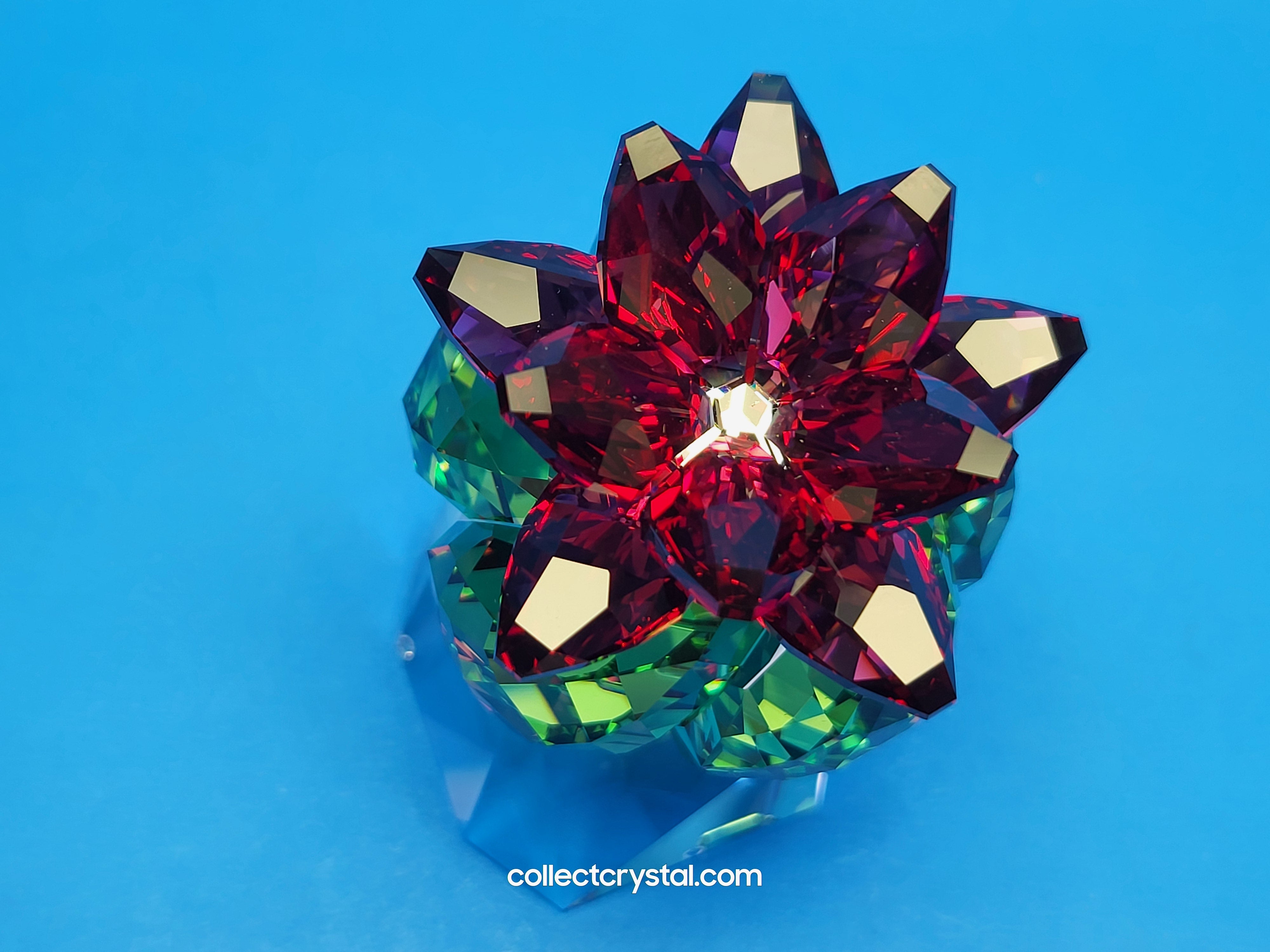 PARADISE FLOWERS – CACTUS BORDEAUX 5426978 – Collect Crystal