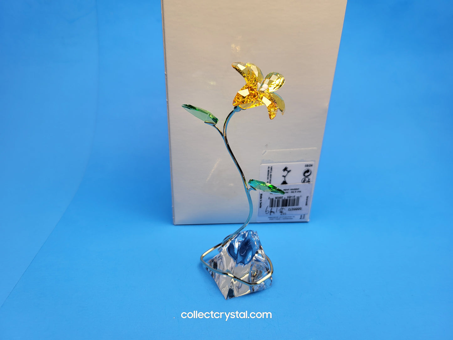 FLORERE LILY 5666972 yellow flower
