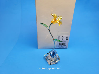 FLORERE LILY 5666972 yellow flower