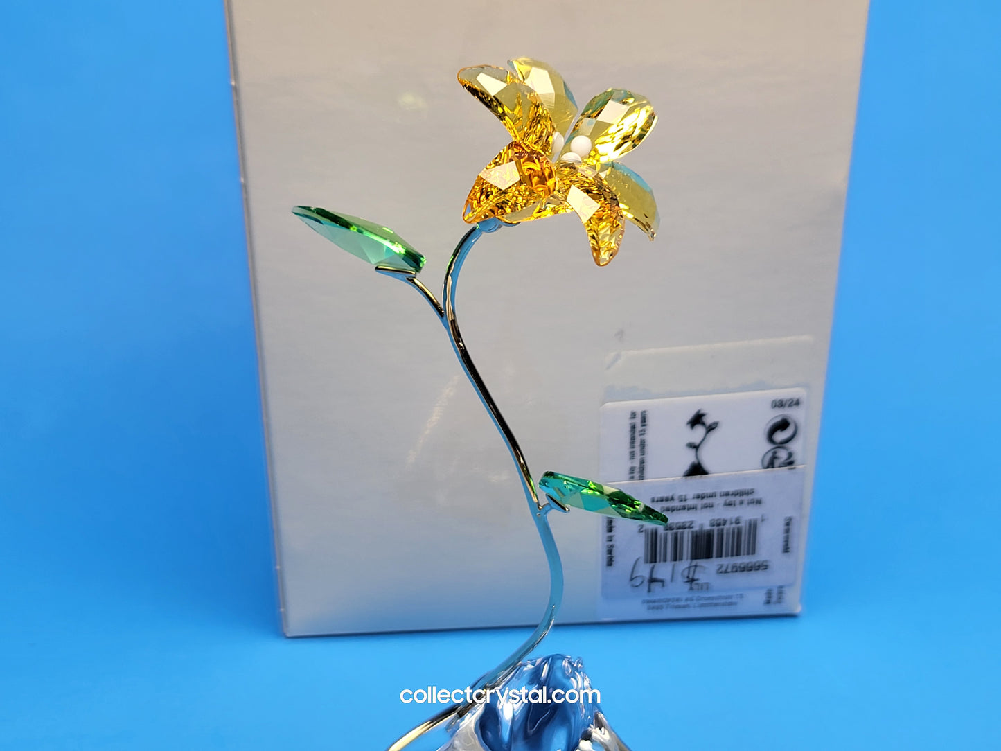 FLORERE LILY 5666972 yellow flower