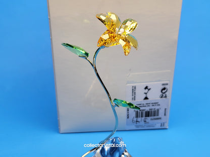 FLORERE LILY 5666972 yellow flower