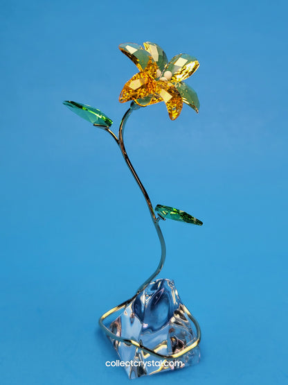 FLORERE LILY 5666972 yellow flower