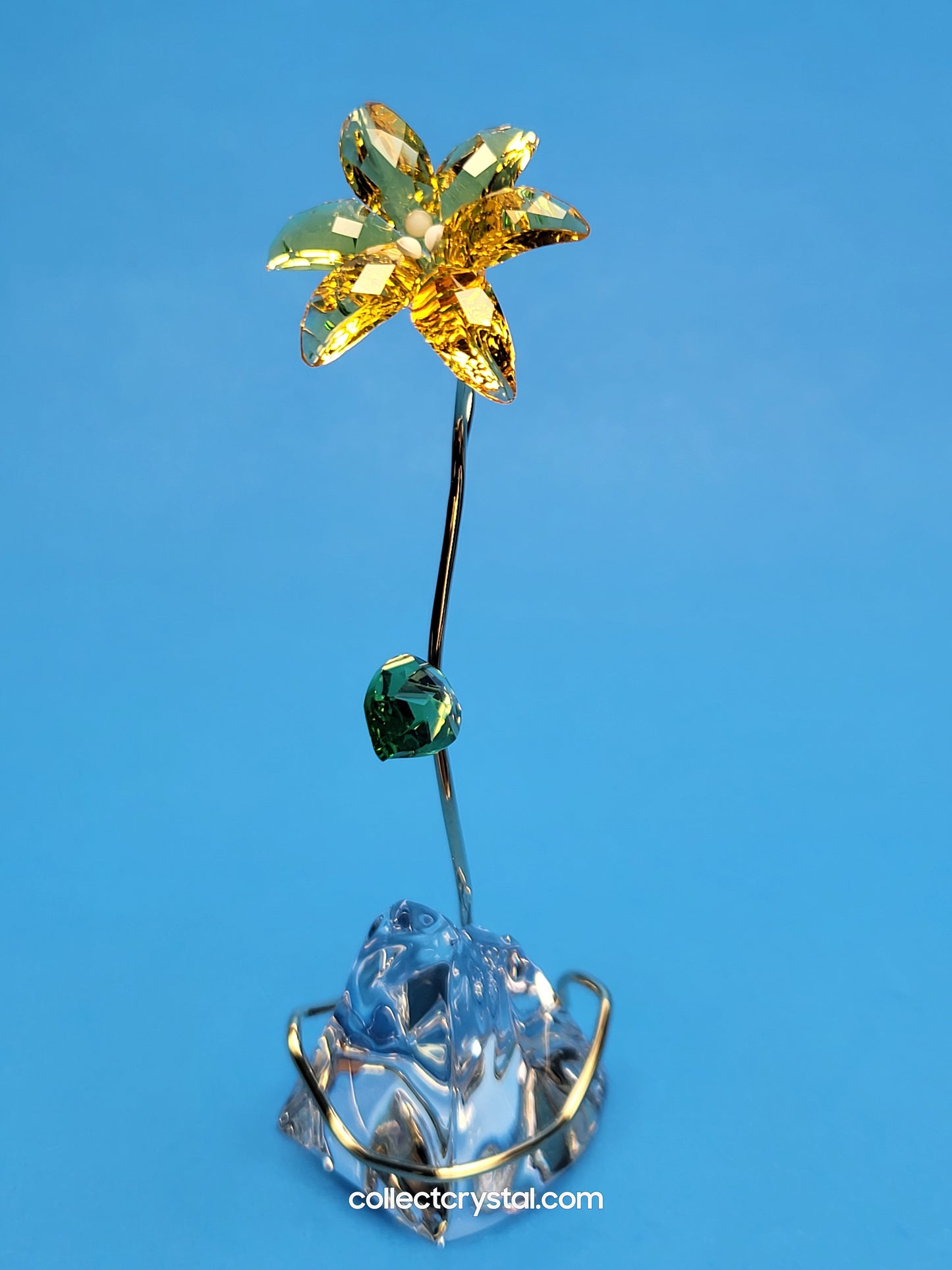 FLORERE LILY 5666972 yellow flower