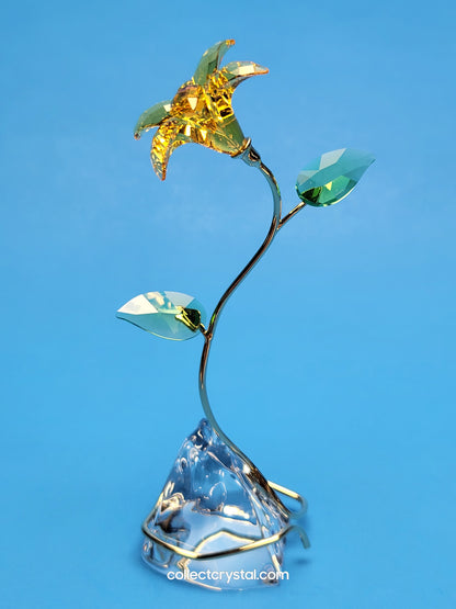 FLORERE LILY 5666972 yellow flower