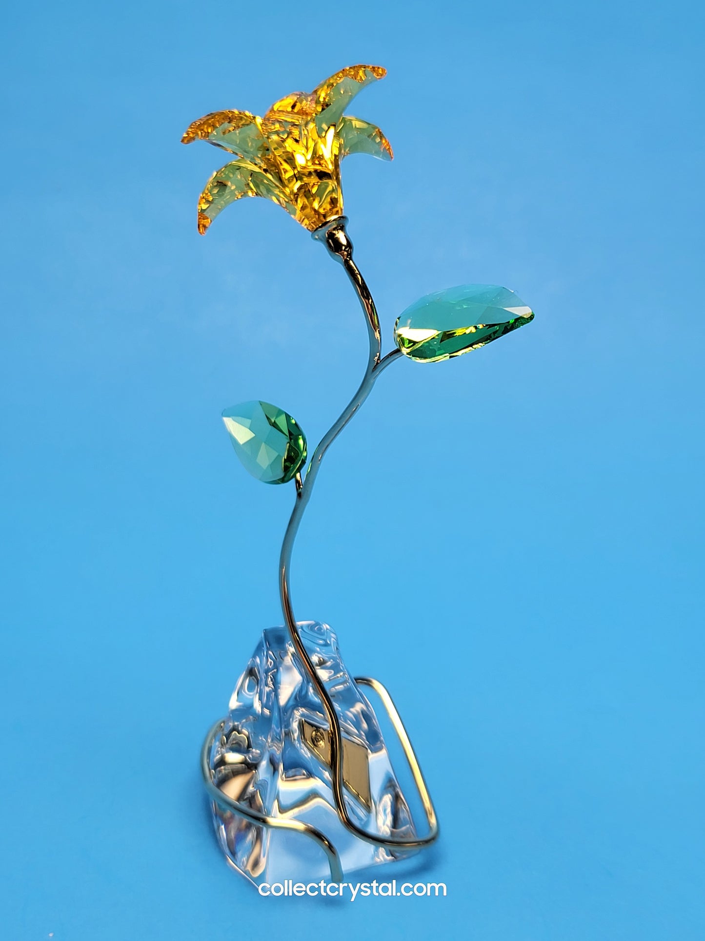 FLORERE LILY 5666972 yellow flower