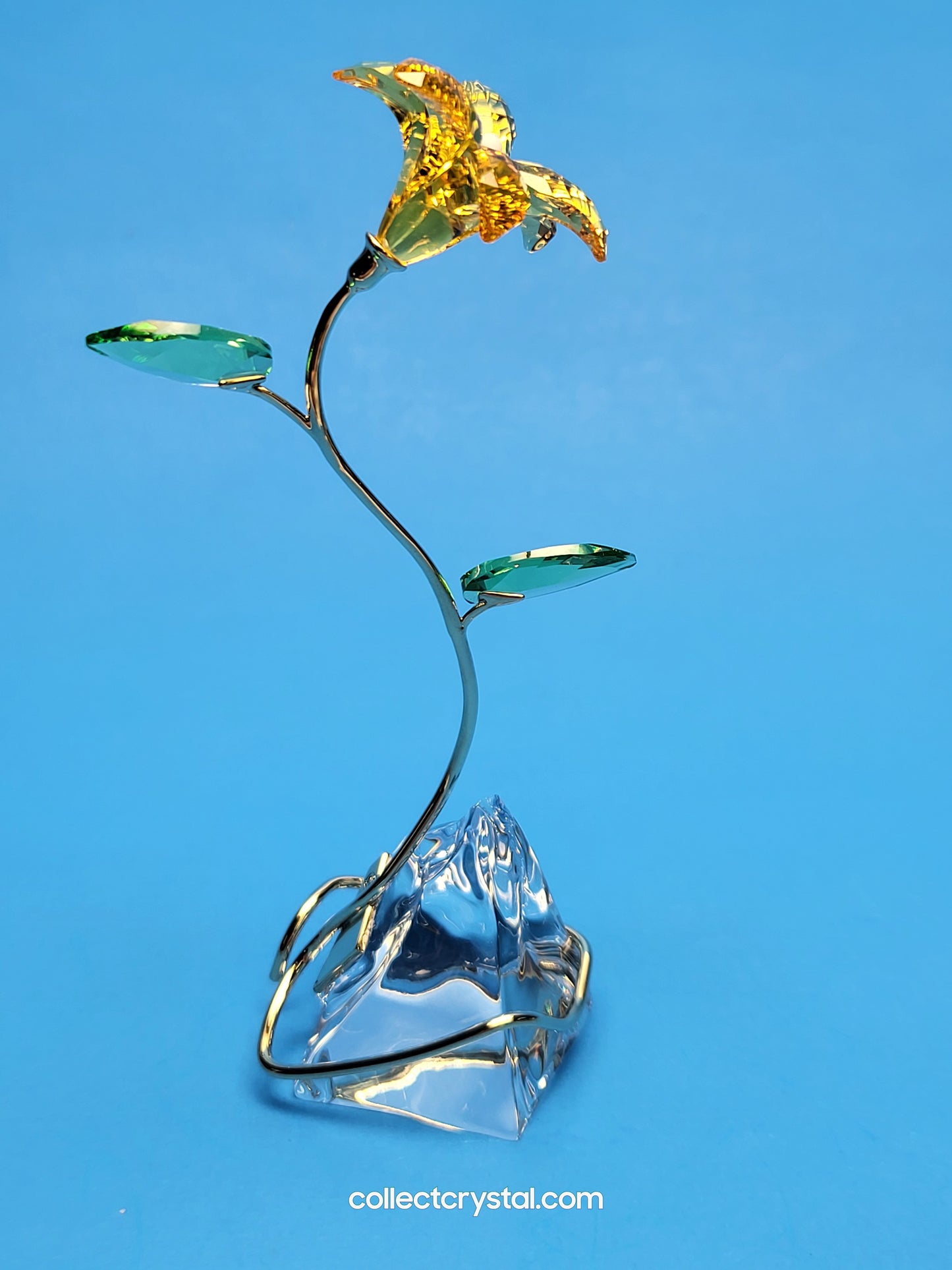 FLORERE LILY 5666972 yellow flower