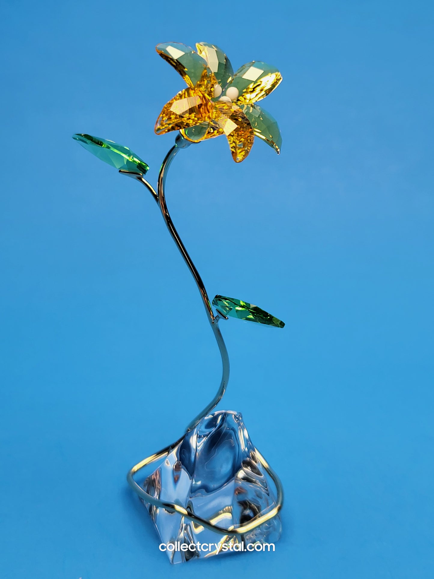 FLORERE LILY 5666972 yellow flower