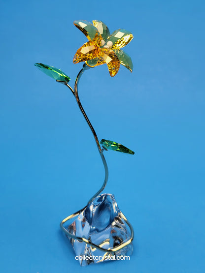 FLORERE LILY 5666972 yellow flower