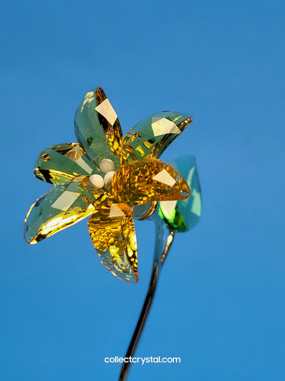 FLORERE LILY 5666972 yellow flower