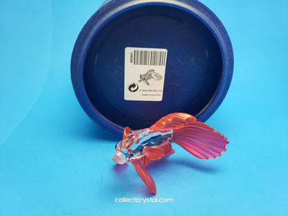 Siamese Beta Fighting Fish set of 3 - #236718, 261259, & 660941 mib