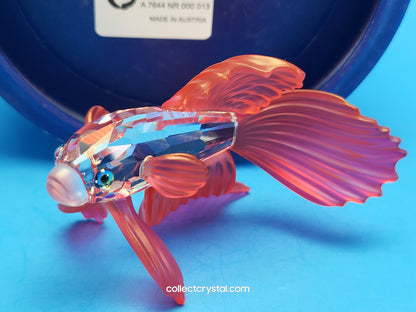 Siamese Fighting Fish Red Crystal Figurine 660941 mib