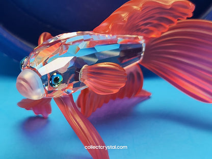 Siamese Fighting Fish Red Crystal Figurine 660941 mib