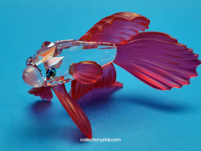 Siamese Fighting Fish Red Crystal Figurine 660941 mib